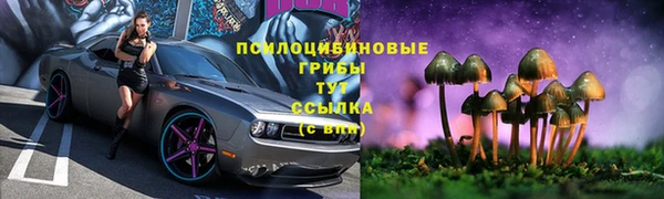 тгк Абаза