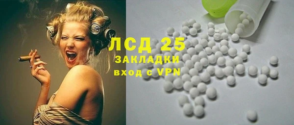 стафф Алзамай