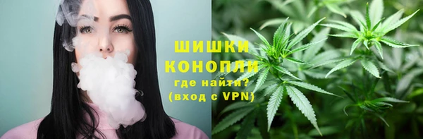 прущие грибы Алексин