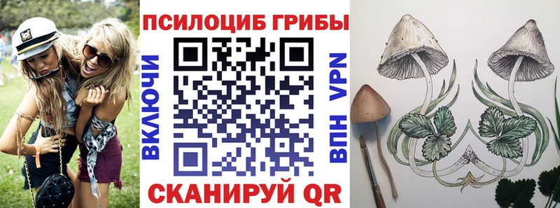 Псилоцибиновые грибы Cubensis  Новоалтайск 